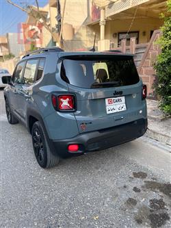 جيب رينيجيد